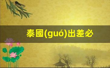 泰國(guó)出差必備物品清單 住宿(泰國(guó)旅游住宿和禁忌)